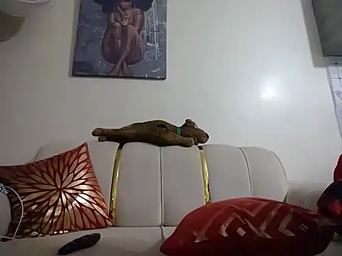 hoely grail01 online show from April 2026 08:21:01 PM