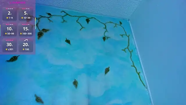 SaturnooStonee online show from March 2026 02:04:02 AM