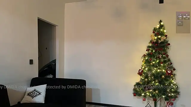 Chaptertoo online show from January 2025 05:28:01 PM