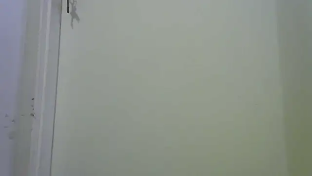 Snapshot of funguybr36 chatting on February 2026 04:37:02 AM funguybr36 online show from February 2026 04:37:02 AM