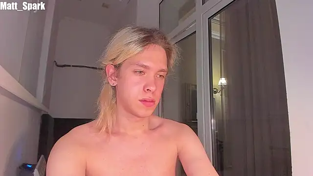 Snapshot of matt_spark chatting on March 2025 05:28:02 PM matt spark online show from March 2025 05:28:02 PM