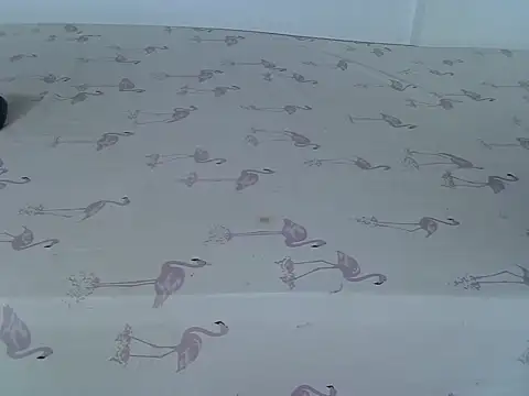 laetitia  online show from March 2026 01:17:02 AM