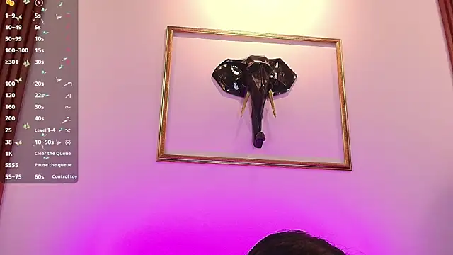 Zayda 1 online show from November 2025 07:03:01 PM