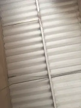 Marobronco online show from March 2026 01:38:02 PM