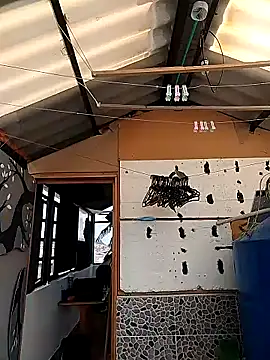 rebekka simpson online show from March 2025 08:10:02 PM