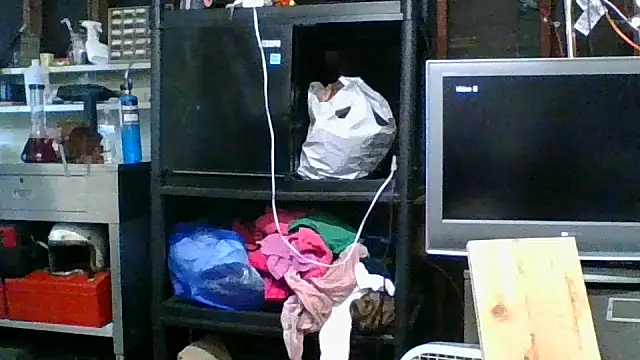 allissonw13 online show from November 2025 11:19:01 PM