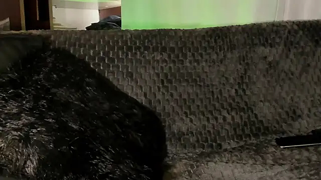 Teo skinny online show from January 2026 04:02:02 PM