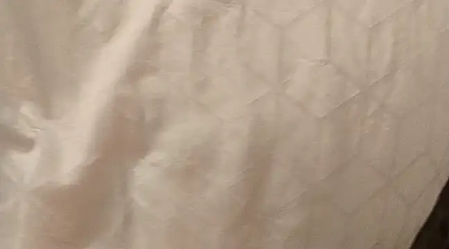 eatmywhiteass online show from March 2025 01:43:02 AM