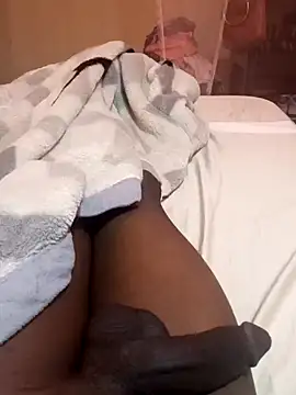 cranes293 online show from December 2024 06:03:02 AM