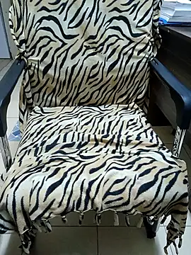 cranes293 online show from November 2025 04:10:01 PM