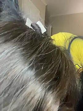 velvetta  online show from November 2025 04:18:01 PM