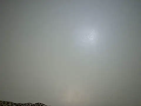Toxique  online show from June 2026 05:52:02 PM