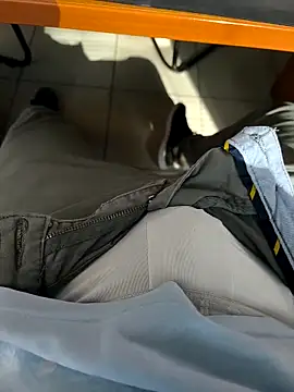 onbifeet online show from November 2025 09:47:02 AM