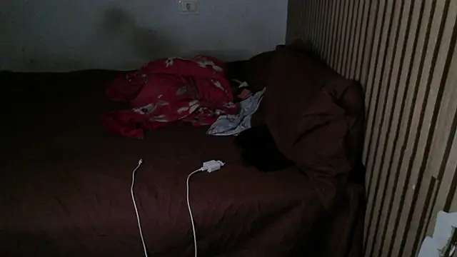 Dedel199 online show from November 2025 01:33:01 PM