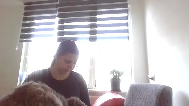 Snapshot of Mir_boobs_ chatting on November 2025 11:14:02 AM Mir boobs online show from November 2025 11:14:02 AM