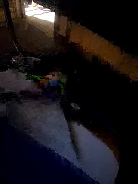 daddysmalldick502 online show from November 2025 06:44:01 PM