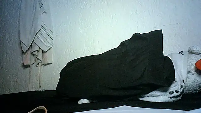 Bellabeltrann online show from November 2025 11:49:01 PM