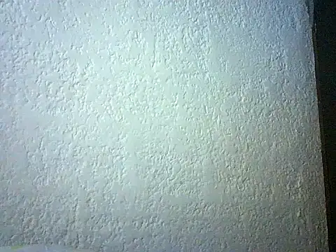 Bellabeltrann online show from April 2026 11:49:01 AM