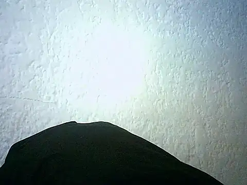 Bellabeltrann online show from January 2026 12:42:02 PM