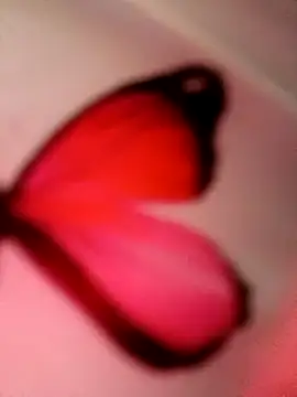  andrea30 online show from February 2025 03:37:02 PM