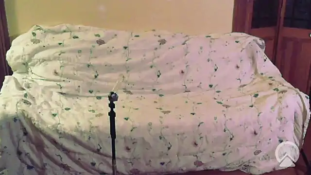 her4life online show from September 2025 07:03:02 AM