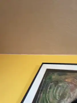 Noviostoxico online show from December 2025 02:05:02 PM