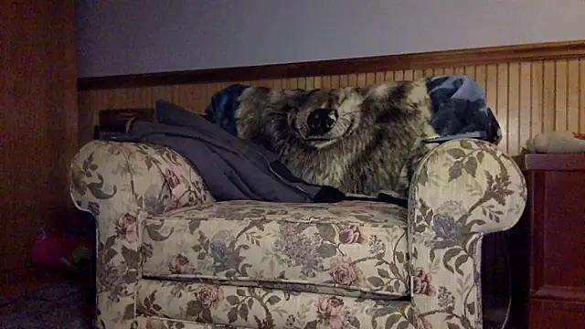 tongueispowerr6d9 online show from March 2026 02:18:02 AM