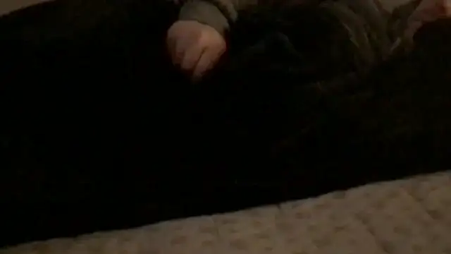 Rock Pierce online show from February 2026 01:22:01 PM