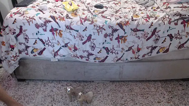 daniela starks online show from March 2026 11:09:01 PM