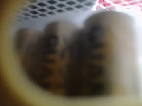 Lovensetest online show from December 2025 01:21:02 AM