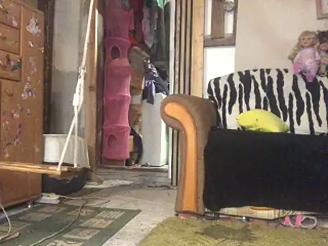 frenkynator online show from November 2025 09:19:01 PM