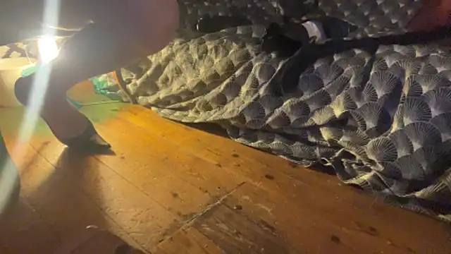 alexheels boots online show from December 2025 02:45:01 AM