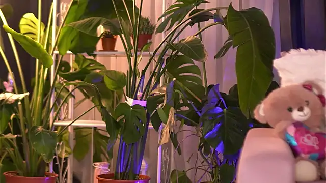 EmilyRaymont online show from December 2025 04:13:02 AM