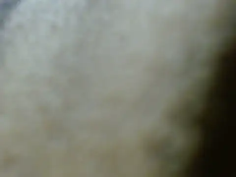 silky milky online show from October 2025 07:26:02 PM