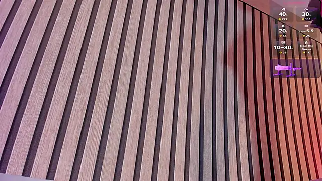 Snapshot of NinaInk chatting on January 2026 01:03:01 PM NinaInk online show from January 2026 01:03:01 PM