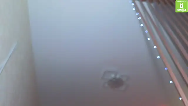 Katy perry  online show from November 2025 03:51:01 AM