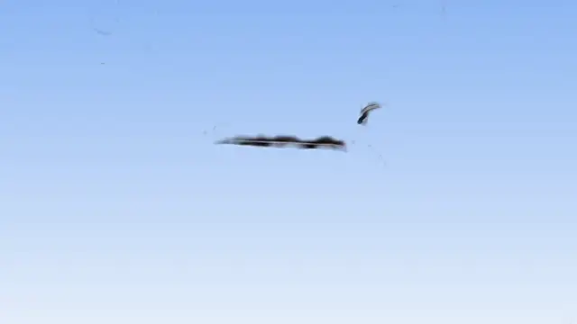 Snapshot of TAndresv2 chatting on January 2025 09:14:02 PM TAndresv2 online show from January 2025 09:14:02 PM