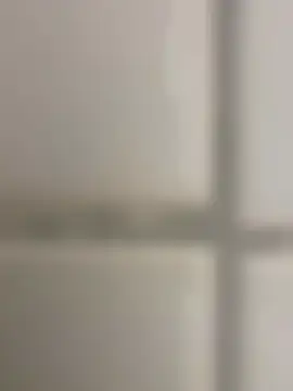 Snapshot of orient_zob chatting on November 2025 02:32:02 PM orient zob online show from November 2025 02:32:02 PM