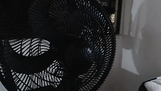 harry greg21 online show from November 2025 02:04:01 AM