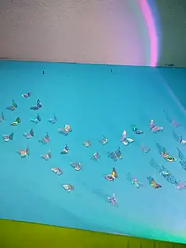 evelyn prince1 online show from February 2026 02:00:01 AM