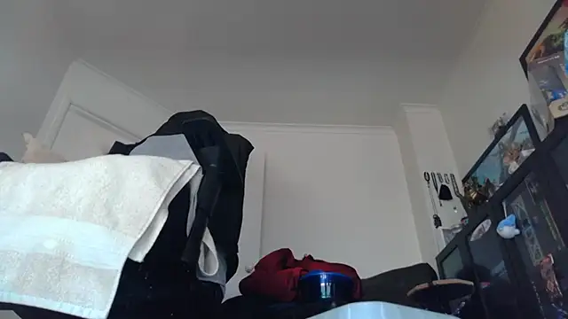 PissingBear online show from February 2026 03:13:02 AM