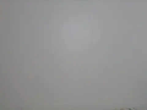 Snapshot of DADDYS_shuga chatting on October 2025 03:51:02 AM DADDYS shuga online show from October 2025 03:51:02 AM
