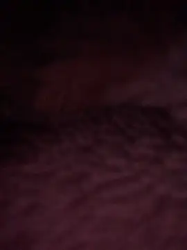 DManL online show from June 2026 02:54:02 AM