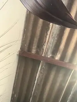 Snapshot of DManL chatting on March 2026 05:29:02 AM DManL online show from March 2026 05:29:02 AM