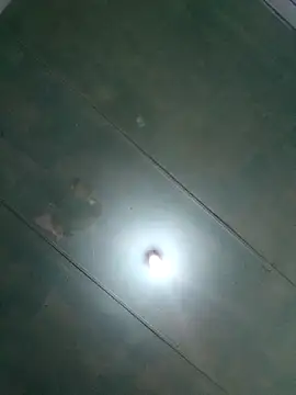 Miss Moriah online show from April 2026 02:32:02 PM