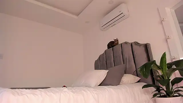 molly cams8 online show from March 2025 12:48:01 AM