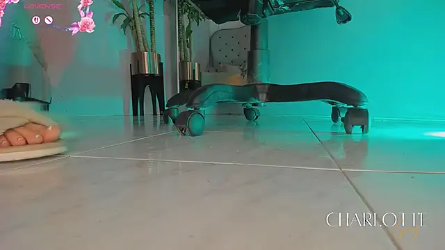 Snapshot of charlotte__grey chatting on February 2026 08:21:01 PM charlotte grey online show from February 2026 08:21:01 PM