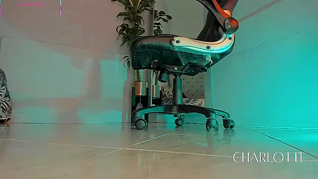 charlotte  grey online show from November 2025 08:42:02 PM