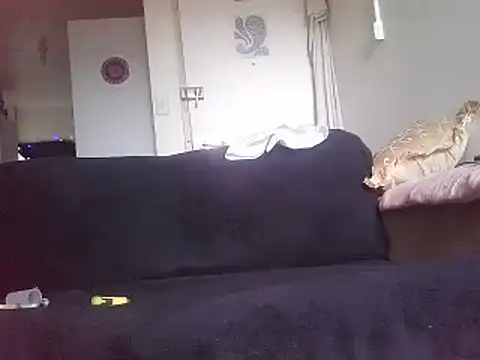 QueenMilf36 online show from December 2024 05:31:01 AM