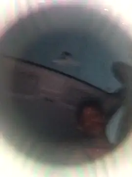 Snapshot of Ursonego chatting on October 2025 10:11:01 PM Ursonego online show from October 2025 10:11:01 PM